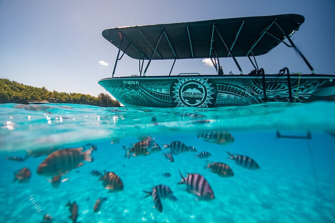 Full Day Eco Snorkeling & Traditional BBQ Lunch on a Motu - Bora Bora Lagoon Snorkeling, Without the Crowds Feeling