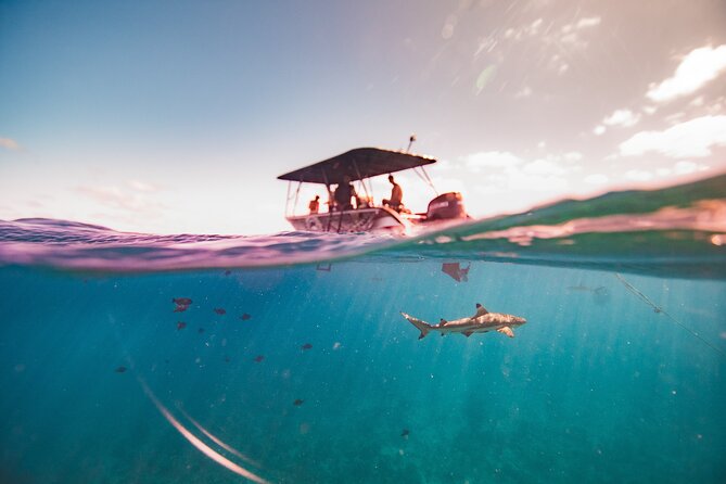 Full Day Eco Snorkeling & Traditional BBQ Lunch on a Motu - Boat Time and Lagoon Cruising: Enjoy It, Don’t Just Tolerate It