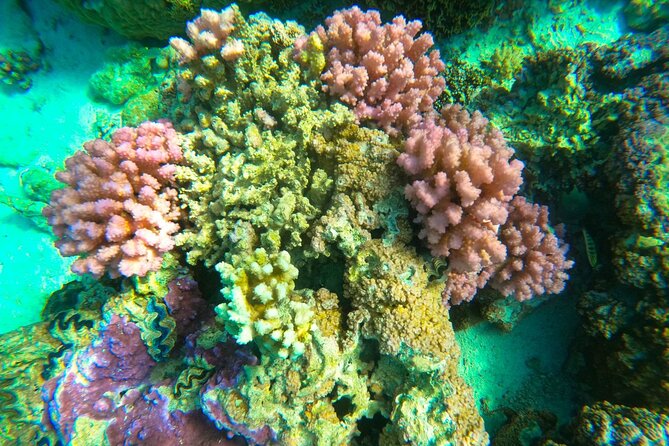 Full-day Lagoon Safari Tour with Lunch in Bora Bora - Shared tour - Stop 6: Back to Matira, with that satisfied snorkeler feeling