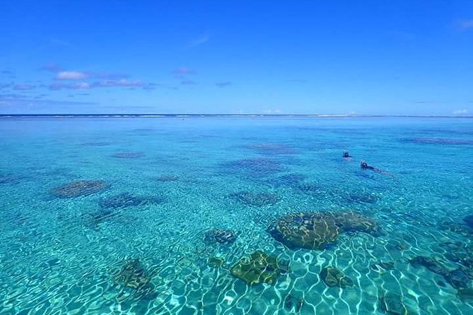 Full-Day Private Boat Tour of Bora Bora Lagoon with Snorkel - Manta rays and marine life: how the route is set up for sightings