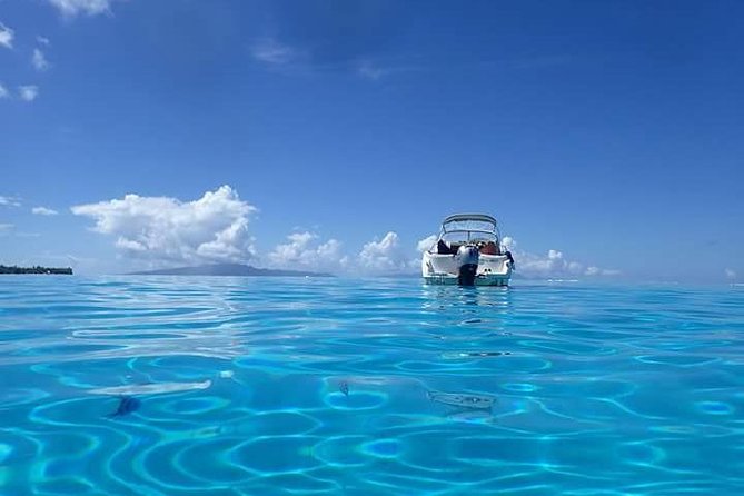 Full-Day Private Boat Tour of Bora Bora Lagoon with Snorkel - Who this Bora Bora lagoon snorkeling tour fits best