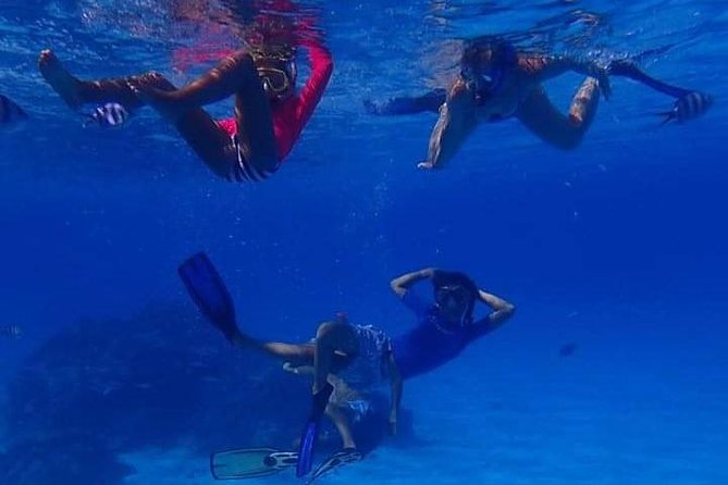 Full-Day Private Boat Tour of Bora Bora Lagoon with Snorkel - First snorkeling stop: reef time that actually fits beginners and repeat snorkelers