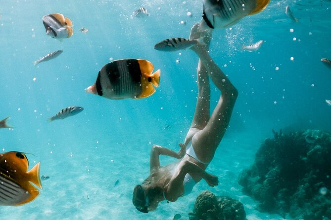 Full Day Tour : Moorea Snorkeling & Sunset Cruise on a Catamaran named Taboo - Starting at Voila Moorea, right when the day is heating up