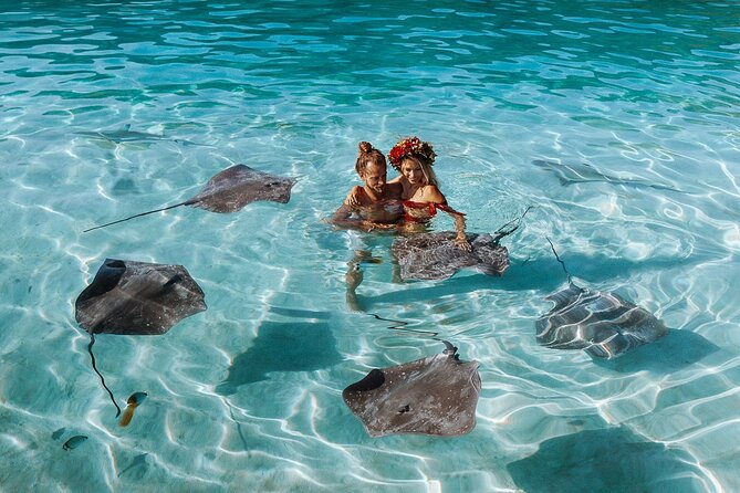 Full Day Tour : Moorea Snorkeling & Sunset Cruise on a Catamaran named Taboo - Snorkeling stops along the north coast: sharks, rays, coral, and Tikis