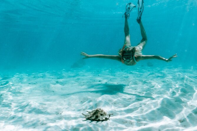 Full Day Tour : Moorea Snorkeling & Sunset Cruise on a Catamaran named Taboo - The crew matters, especially during water time