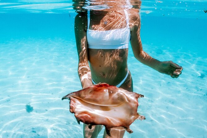 Full Day Tour : Moorea Snorkeling & Sunset Cruise on a Catamaran named Taboo - Practical tips for snorkeling and a smooth sunset cruise