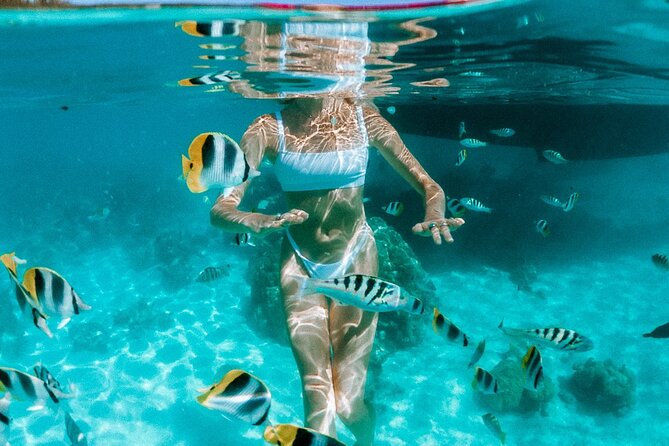 Full Day Tour : Moorea Snorkeling & Sunset Cruise on a Catamaran named Taboo - Price and value: what $261.01 buys you