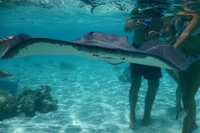 Grand Combo 3H00 of Jetski + 2H30 of Quad - Where you’ll start: Moorea Activities Center in Opunohu (8:30 am)