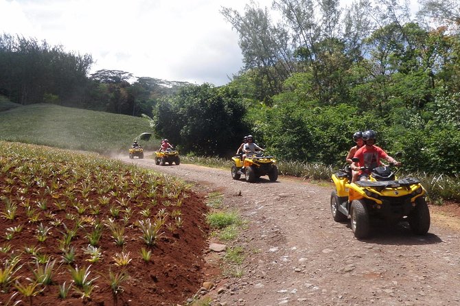 Grand Tour Quad Excursion in Moorea (Single or Two-Seater) - Stop 2: Belvedere Lookout for Cook Bay and Opunohu Bay views