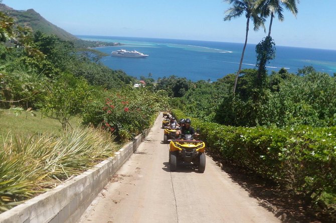 Grand Tour Quad Excursion in Moorea (Single or Two-Seater) - Stop 3: Fare Tutava tasting break for local flavors