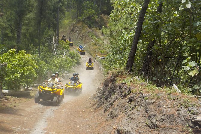 Grand Tour Quad Excursion in Moorea (Single or Two-Seater) - What’s included, and why it’s more valuable than it looks