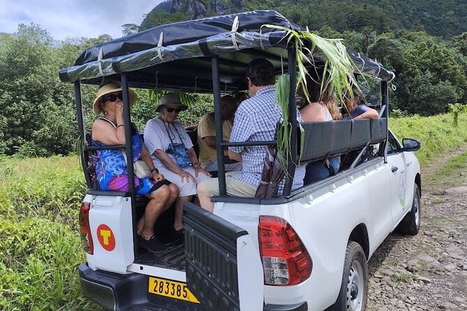 Guided Excursion in 4x4 in Moorea between Land and Sea - Quick hits: why this Moorea 4x4 day works
