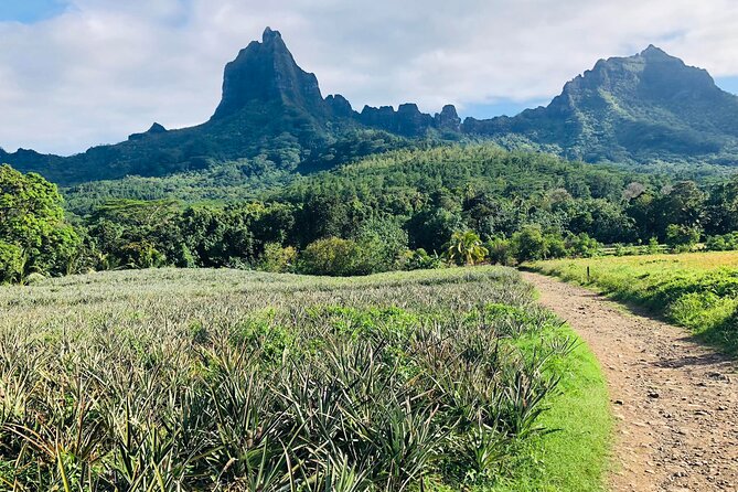Guided Excursion in 4x4 in Moorea between Land and Sea - The small group vibe, and why it changes the day