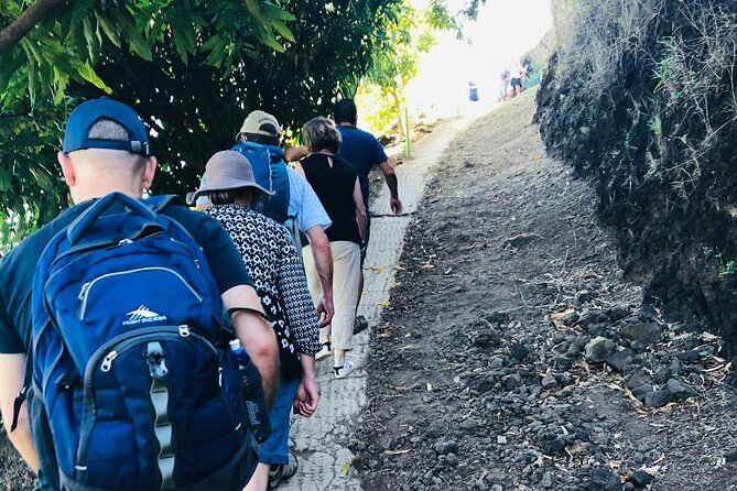 Guided Excursion in 4x4 in Moorea between Land and Sea - Stop 2: Opunohu Bay, pineapple fields, rivers, and the eel legend