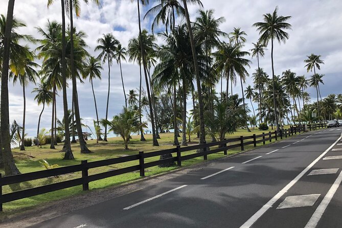 Guided Excursion in 4x4 in Moorea between Land and Sea - Stop 3: Belvedere Lookout, Cook and Opunohu bays in one view