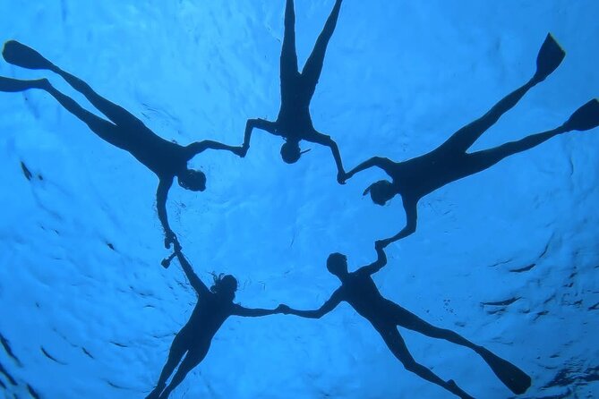 Guided Small Group Whale Watching and Swim Tour Tahiti - What Happens If You Do Not Swim With Whales