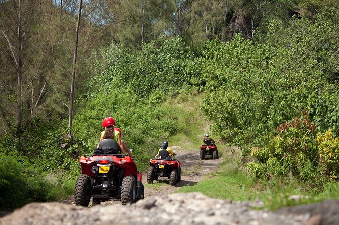 Guided Tour of Bora Bora by Quad - First stop in Anau: eastern reef views from the heights