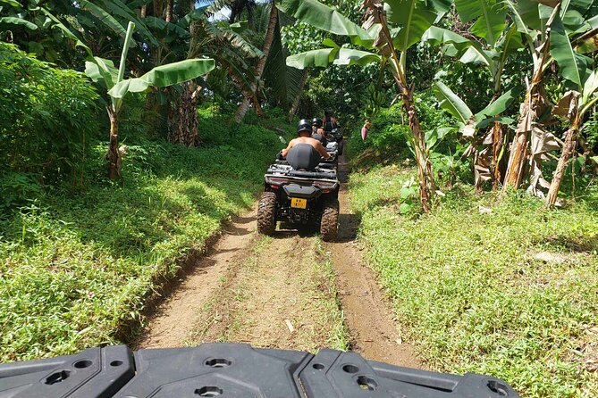 Guided tour of the island and its escapades in Tahaa by Quad / ATV - Stop 3: Love Here Pearl Farm and the pearl story