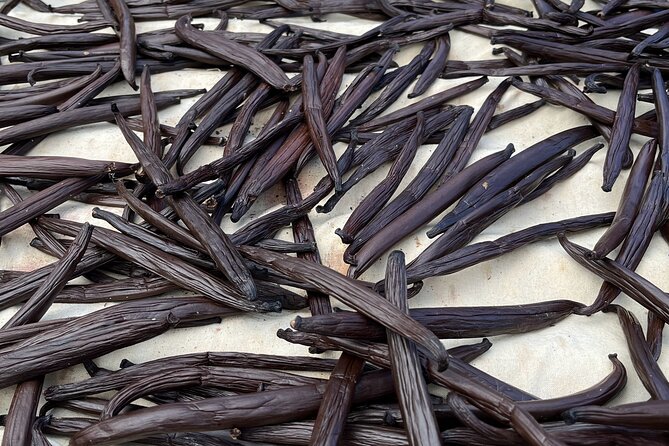 Guided tour of the island of Tahaa with Revanui Excursions - Vanilla Prod Stop: Seeing Tahaa Vanilla Beyond the Label