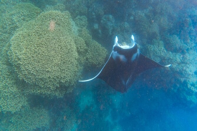 Half a day to discover Bora Bora with O-sea - The guide experience: warm stories, strong inclusion, small-group comfort