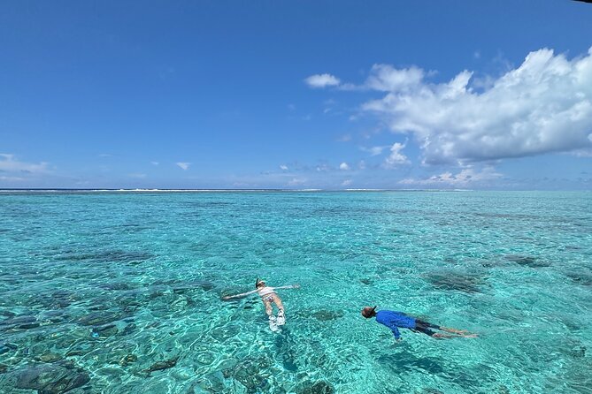 Half day Eco Snorkeling small group Tour in Bora Bora - Key highlights worth your time