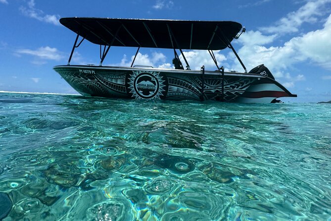 Half day Eco Snorkeling small group Tour in Bora Bora - Small Group Numbers Up to 8, Maximum 10