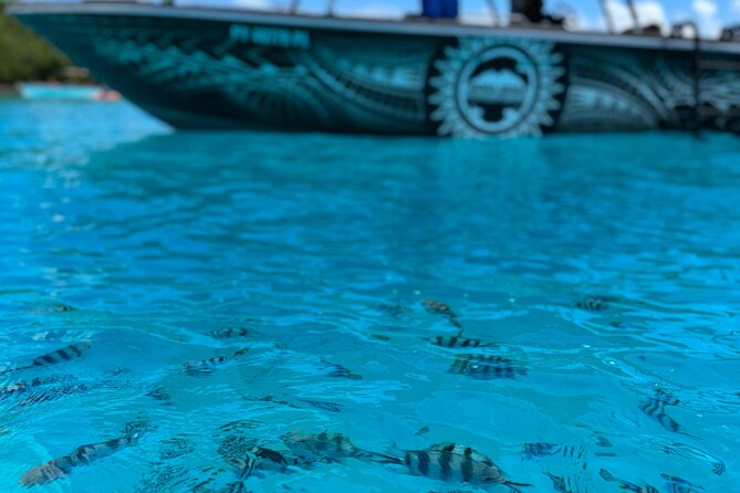 Half day Eco Snorkeling small group Tour in Bora Bora - The Boat Is Exposed, Plan for Wind and Rain
