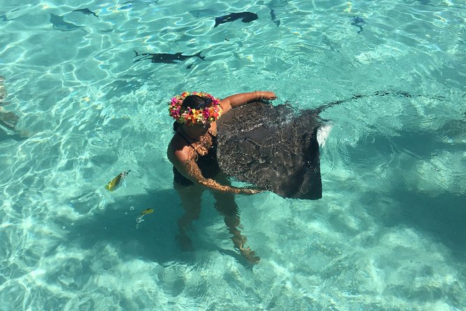 Half day Excursion, Drift Snorkeling Lagoon Adventure. 3H - Three Stops in Moorea’s Lagoon, With a Dry-Option View
