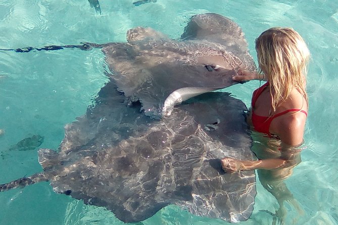 Half day Excursion, Drift Snorkeling Lagoon Adventure. 3H - Price and Value: Is $91.24 a Good Deal?