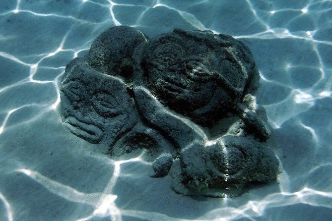 Half day Excursion, Drift Snorkeling Lagoon Adventure. 3H - What Wildlife You Might See, and What to Expect in Reality