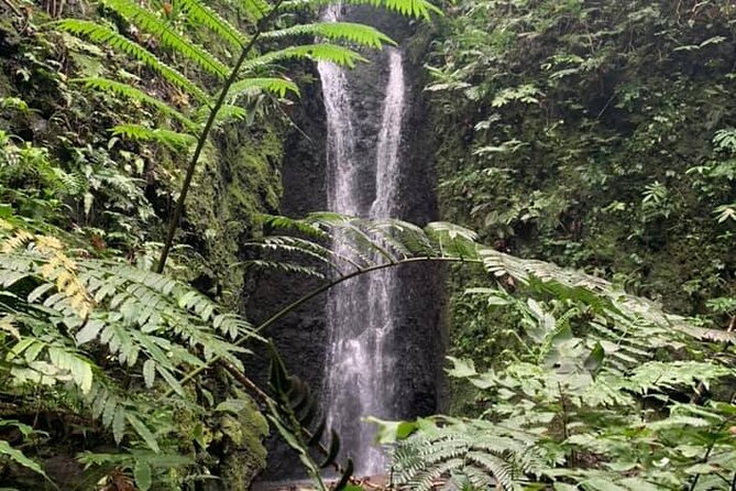 Half-Day Guided Hike to Afareaitu Waterfall - Key highlights you should know