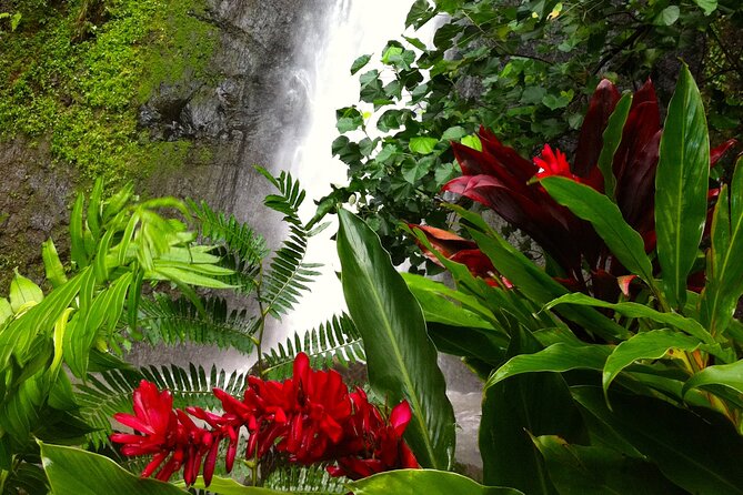 Half-Day Guided Hike to Afareaitu Waterfall - Moorea’s Afareaitu Waterfall hike, and why the valley feels more than scenic