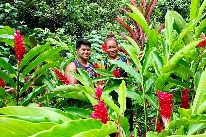 Half-Day Guided Hike to Afareaitu Waterfall - The hike route: tropical fruits, tree ferns, and ancient temple remnants