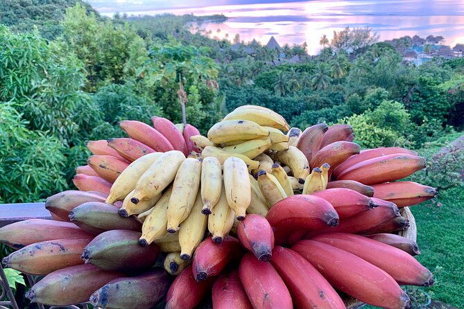 Half-Day Guided Hike to Afareaitu Waterfall - What to wear and bring for a trail that can get slick