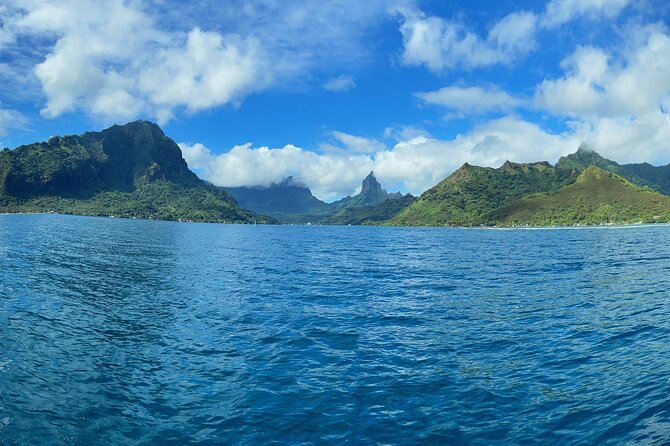 Half-Day Humpback Whales Encounter in Moorea - Key things I’d circle before you book
