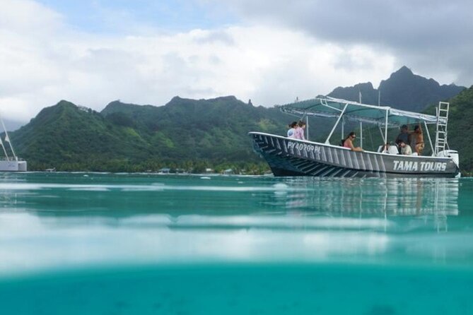 Half-Day Humpback Whales Encounter in Moorea - Why Moorea’s humpbacks can feel so personal