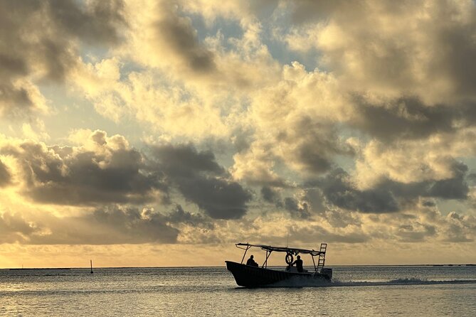 Half-Day Humpback Whales Encounter in Moorea - What you’ll actually see, from the boat and in the water
