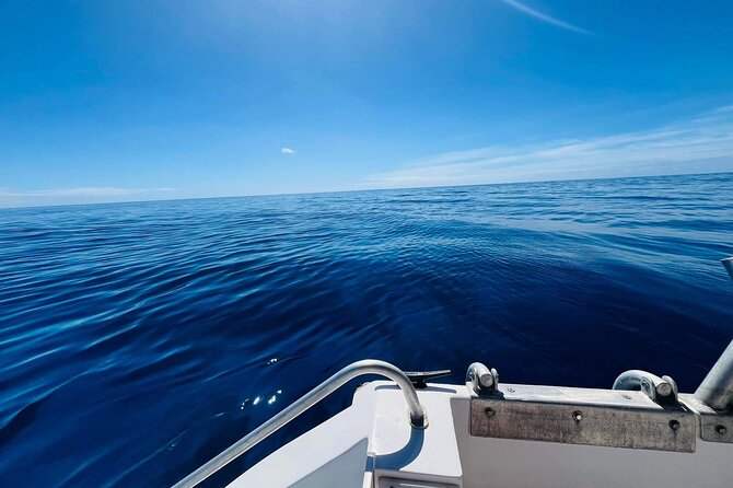 Half-Day Humpback Whales Encounter in Moorea - Captain Tamatoa and the certified crew vibe
