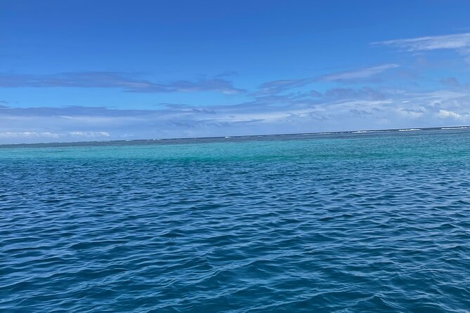 Half-Day Humpback Whales Encounter in Moorea - Price and value: what $236.85 is buying you