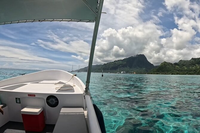 Half-Day Humpback Whales Encounter in Moorea - Weather, effort, and how to prep without stress