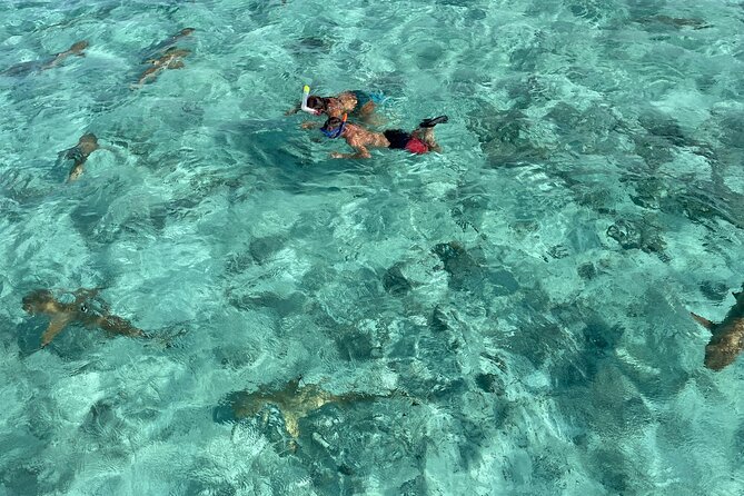 Half day lagoon safari tour in Bora Bora- Shared tour - Quick Hits Before You Go