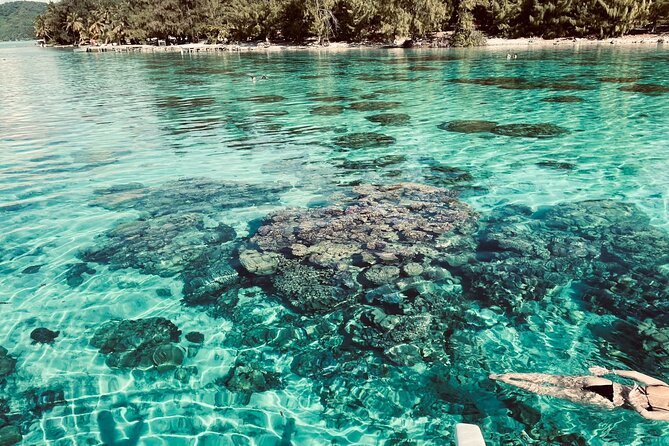 Half day lagoon safari tour in Bora Bora- Shared tour - Why a Half-Day Lagoon Safari Fits Bora Bora So Well