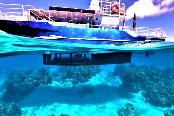 Half day lagoon safari tour in Bora Bora- Shared tour - The Underwater Plan: Coral Gardens, Rays, and Sharks in Shallow Water