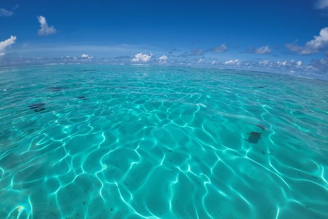 Half Day Private Boat Snorkeling Excursion Moorea - Cook and Opunohu Bays: the lagoon views you come for