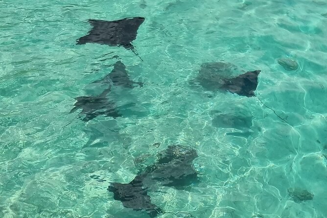 Half Day Private Boat Snorkeling Excursion Moorea - Jet ski time and how it changes the feel of a half day