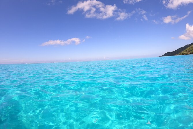 Half Day Private Boat Snorkeling Excursion Moorea - Price and value: what $881.50 means for a group of up to 12