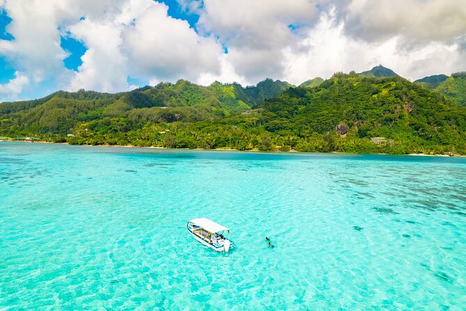 Half Day / Private Lagoon Adventure in Mo'orea - Key highlights before you go