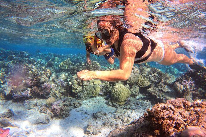 Half Day / Private Lagoon Adventure in Mo'orea - Snorkeling in Moorea without the chaos