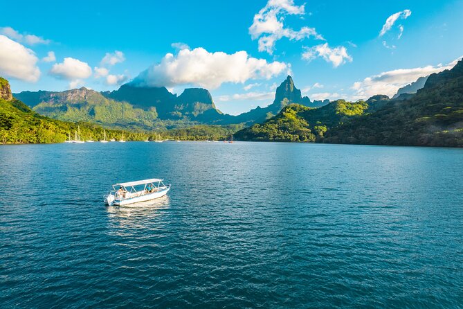 Half Day / Private Lagoon Adventure in Mo'orea - Price and value: when $668.05 per group makes sense