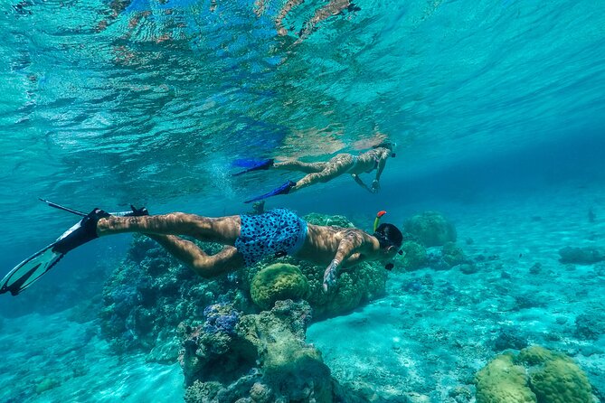 Half Day Private Lagoon Snorkeling Experience - Bora Bora Lagoon by motorized canoe, with Mount Otemanu in view